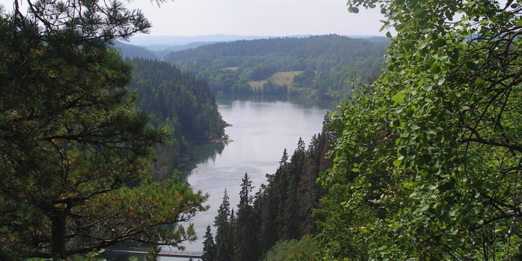 featured_image