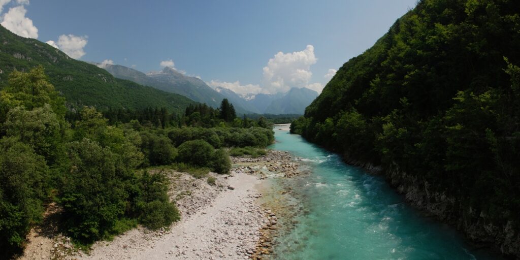 featured_image