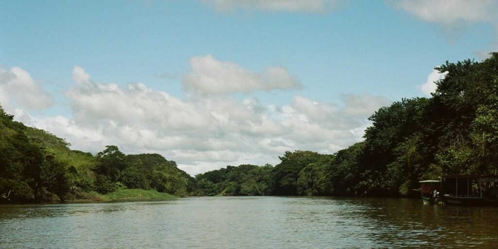 featured_image