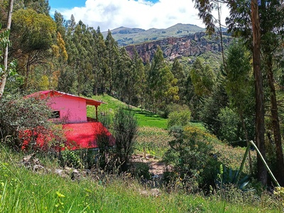 Huancavelica