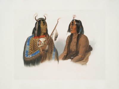 Indigenous (total)