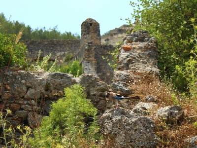 Kilembe Mines Ruins