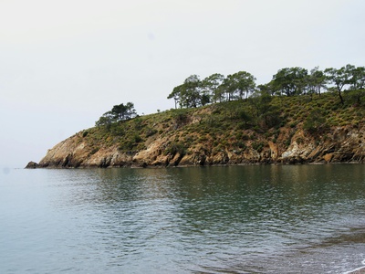 Little Armier Bay