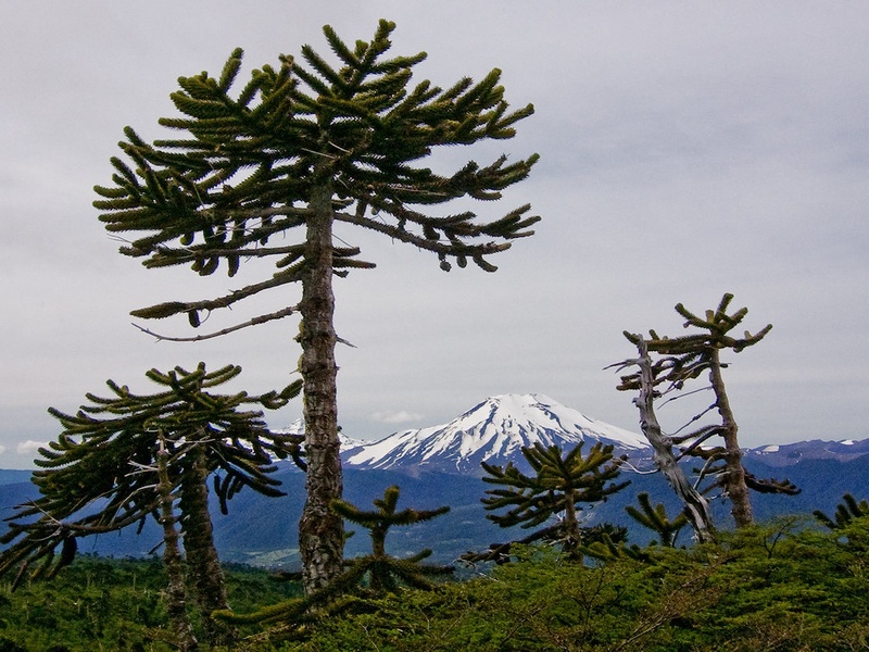 The Complete List of Active Volcanoes in South America - 33travels