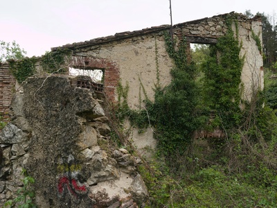 Lopinot Estate Ruins