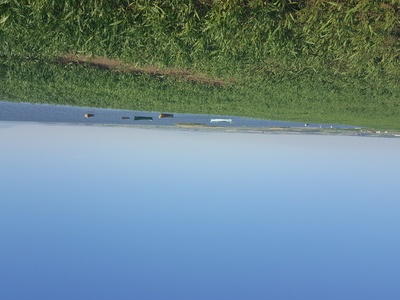 Manyas Lake (Kuş Gölü)