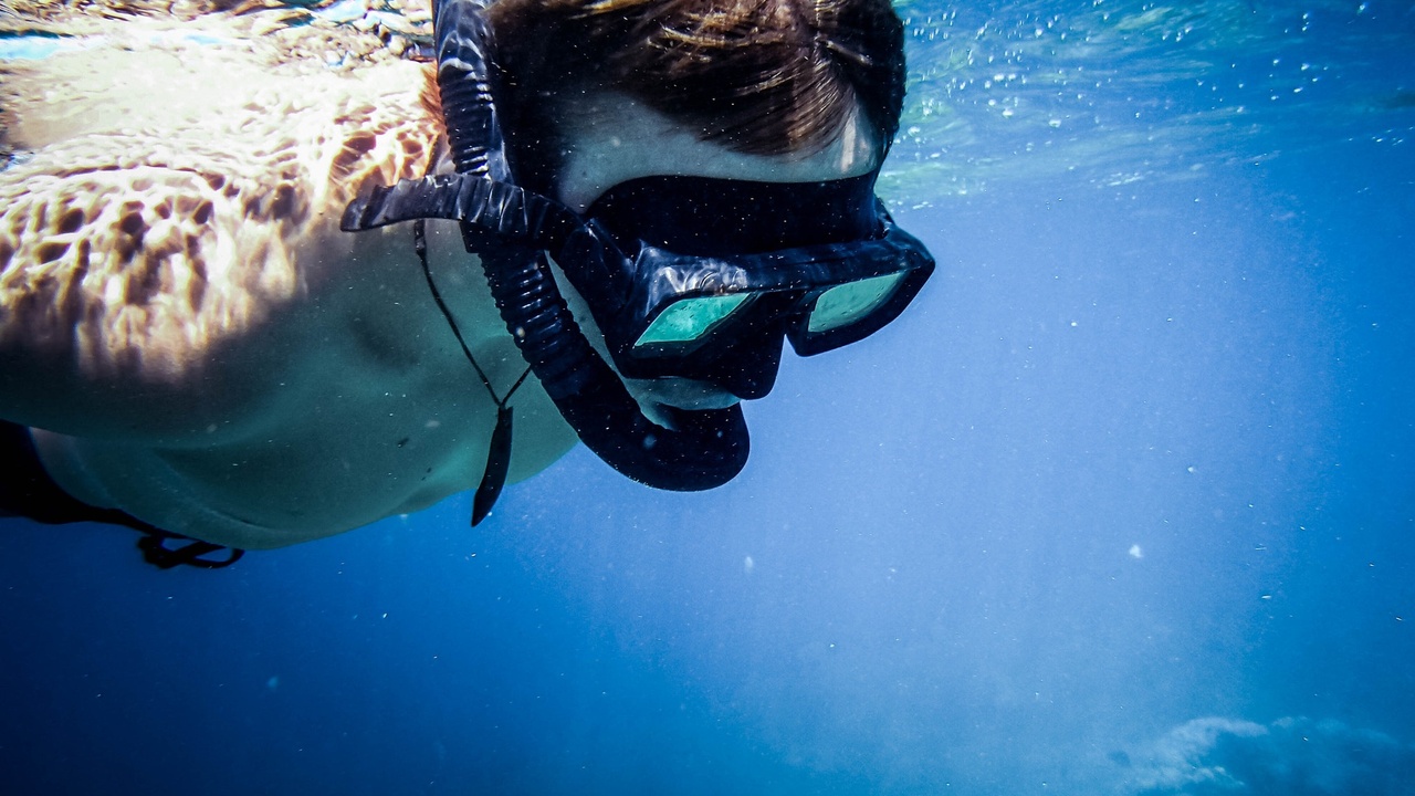 Diver passing a wall of colorful soft coral in Fiji.