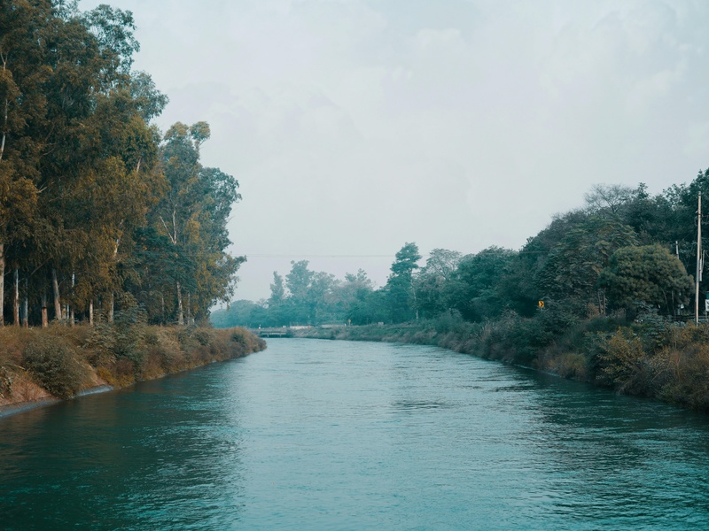 Nariva River