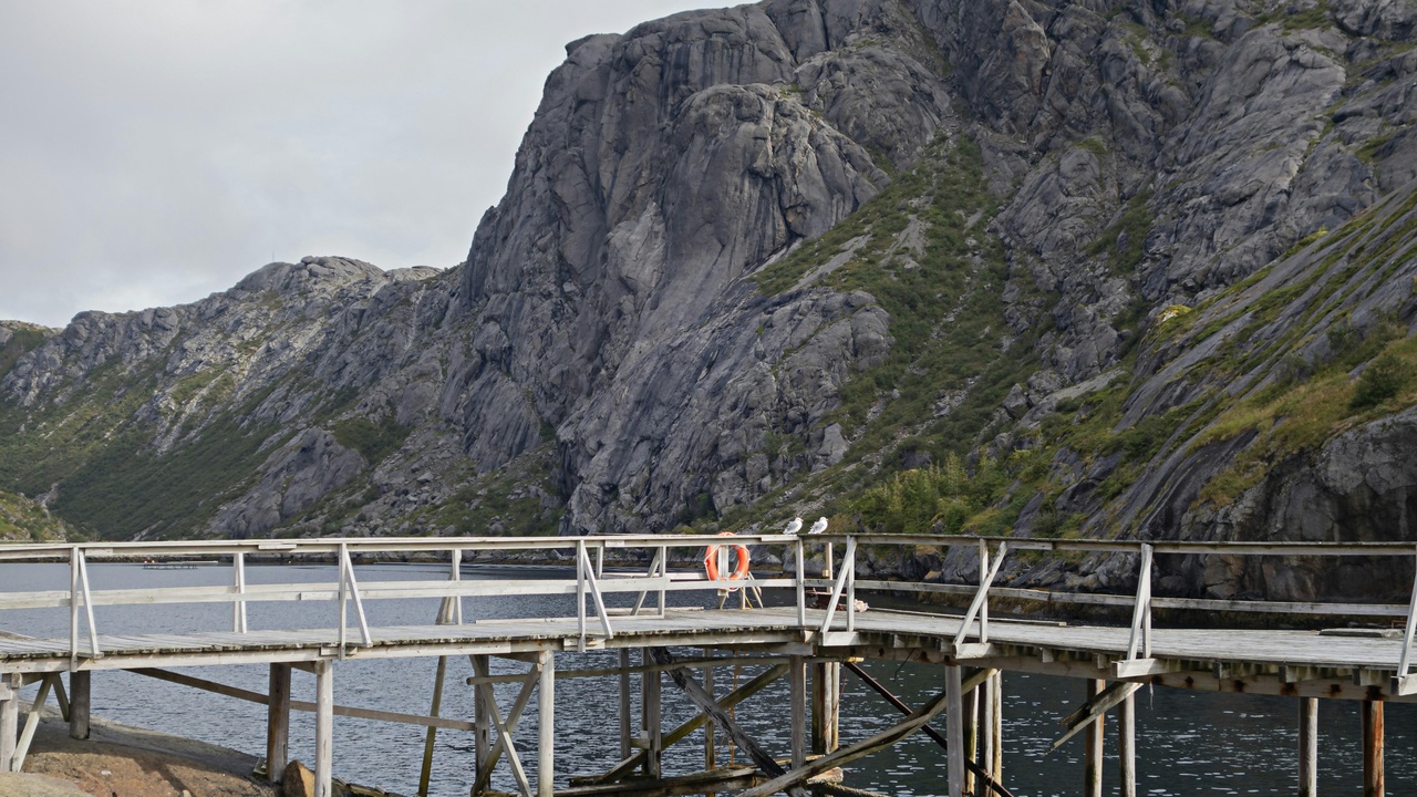Hiker overlooking a Norwegian fjord and mountain landscape