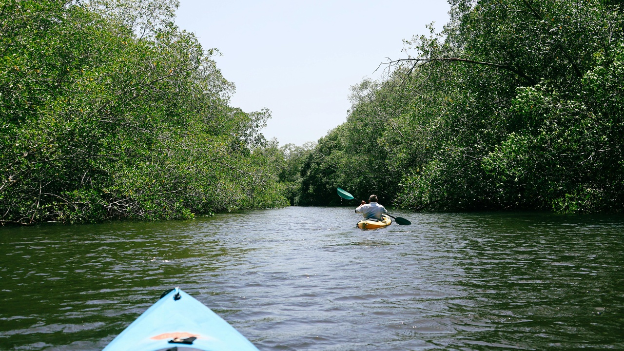 Visitors enjoying a mud bath at El Totumo Volcano and mangrove canoe tours near Cartagena