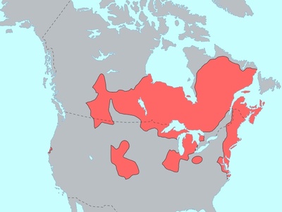 Ojibwe (Anishinaabemowin)