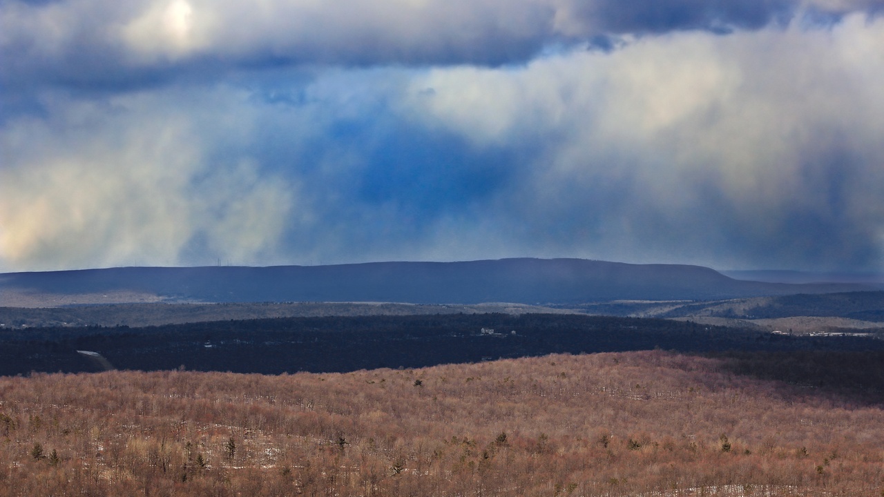 Desert trails winding toward a city skyline at sunrise with golden light on cacti and rock formations.