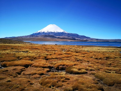 Parinacota