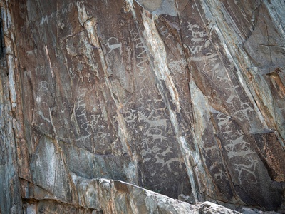 Petroglyphs of the Mongolian Altai