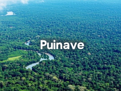Puinave