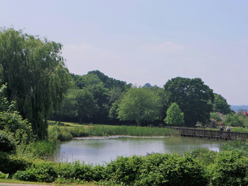 Reckley Hill Pond