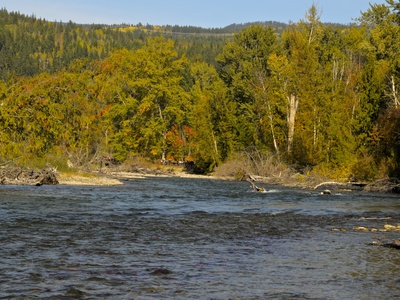 Secwepemctsín (Shuswap)