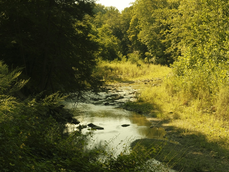 Stafford Creek