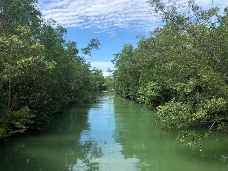 Sungei Tampines