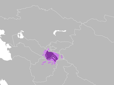 Tajik