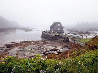 The Cove (Stonington)