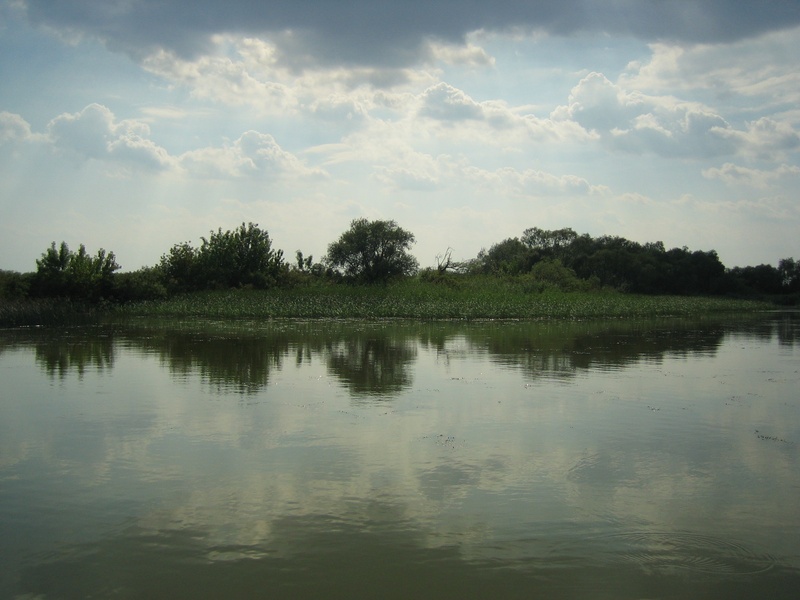 Tisza-tó