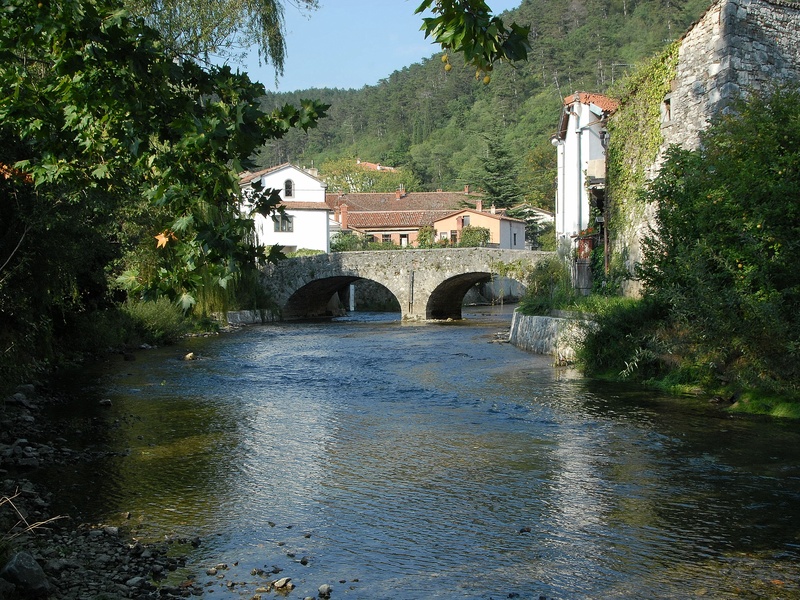 Vipava