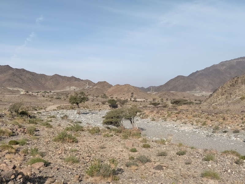 Wadi Al Qor