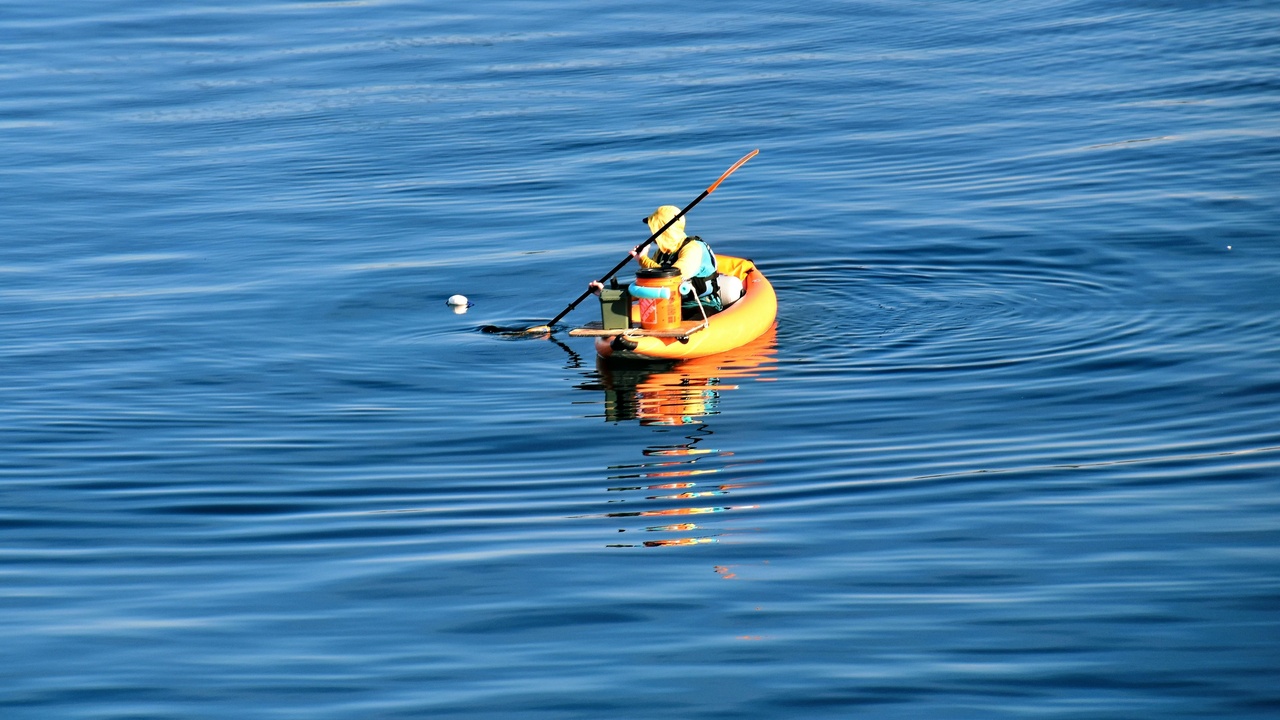 Snorkeling in Carlisle Bay with clear water and tropical fish