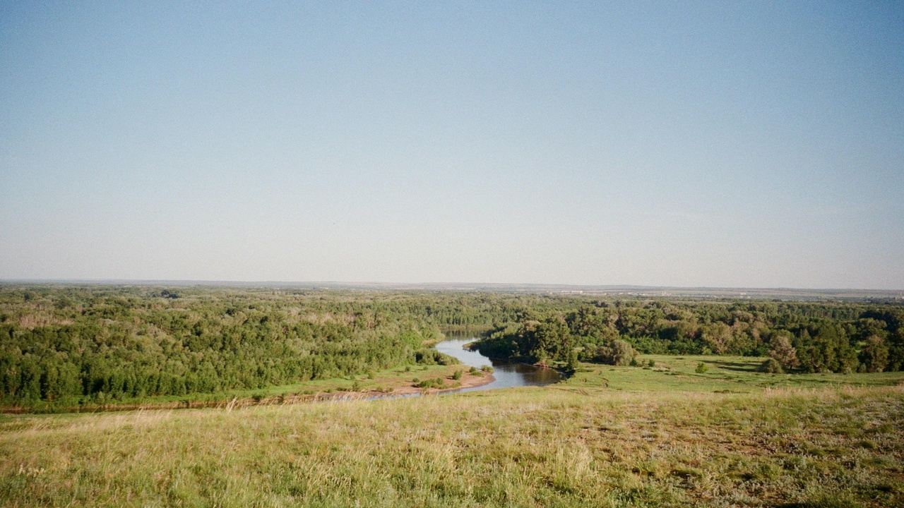 Elephants and savanna habitat in Zakouma National Park, Chad
