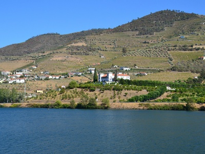 Alto Douro Wine Region