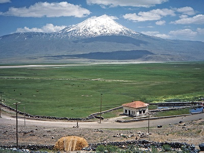 Ararat