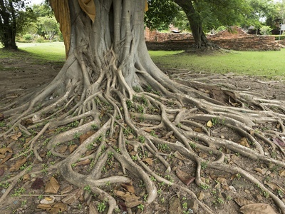Ayutthaya Historical Park