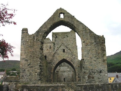Carlingford Friary