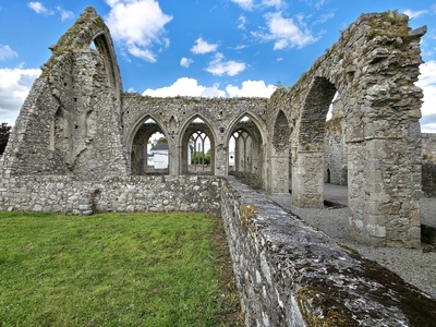 Castledermot Friary