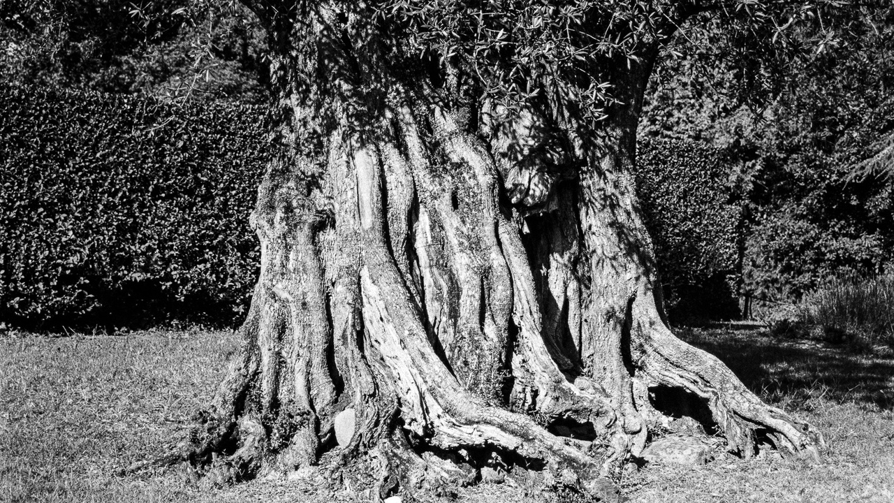 Coastal promenade at Foz do Douro with ocean and cliffs