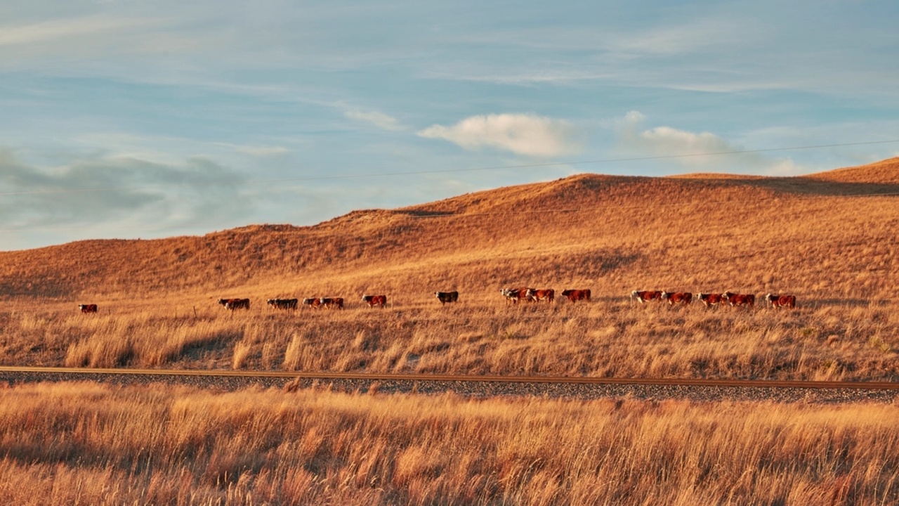 Nebraska outdoors: Sandhills and Platte River