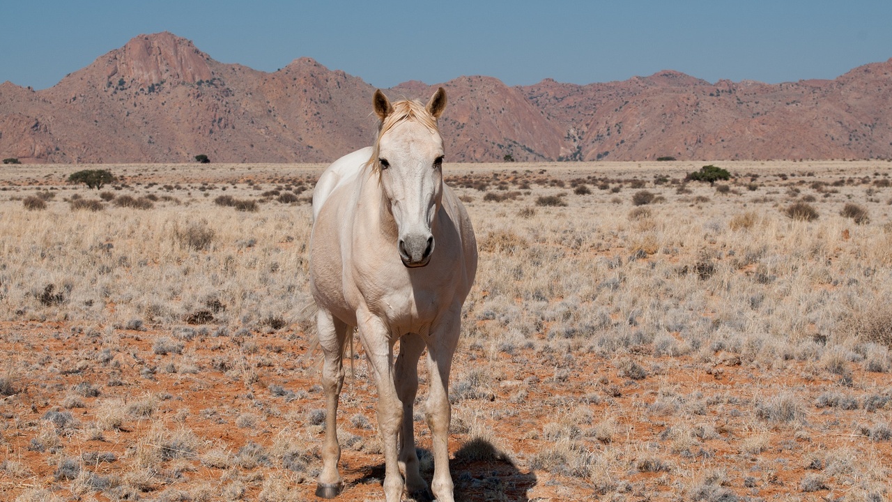 road safety or coastal hazards in Coastal and southern transport towns