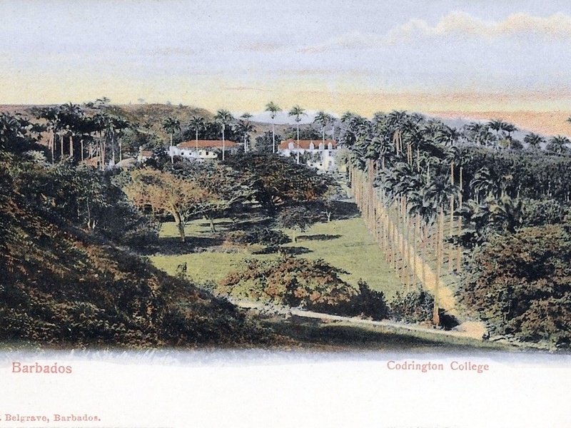 Codrington College