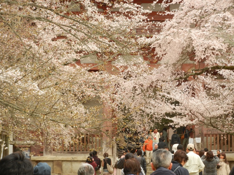 Daigo-ji Temple
