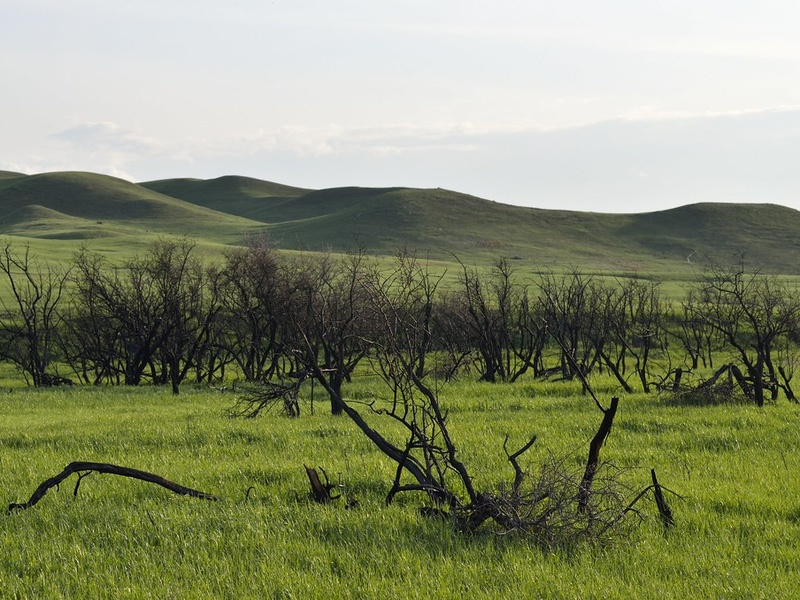 Grasslands National Park