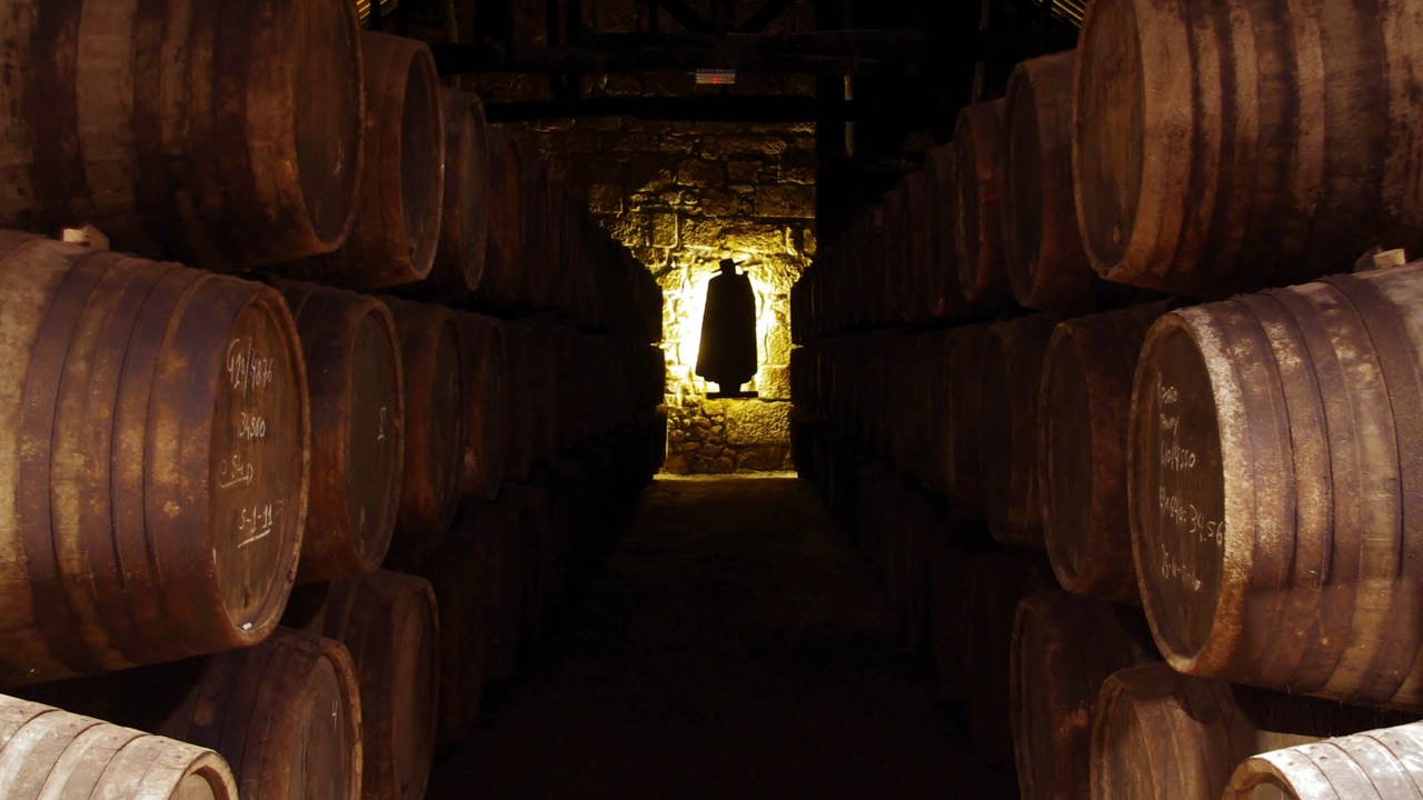 View over Porto's hills with Dom Luís I Bridge and terraced buildings
