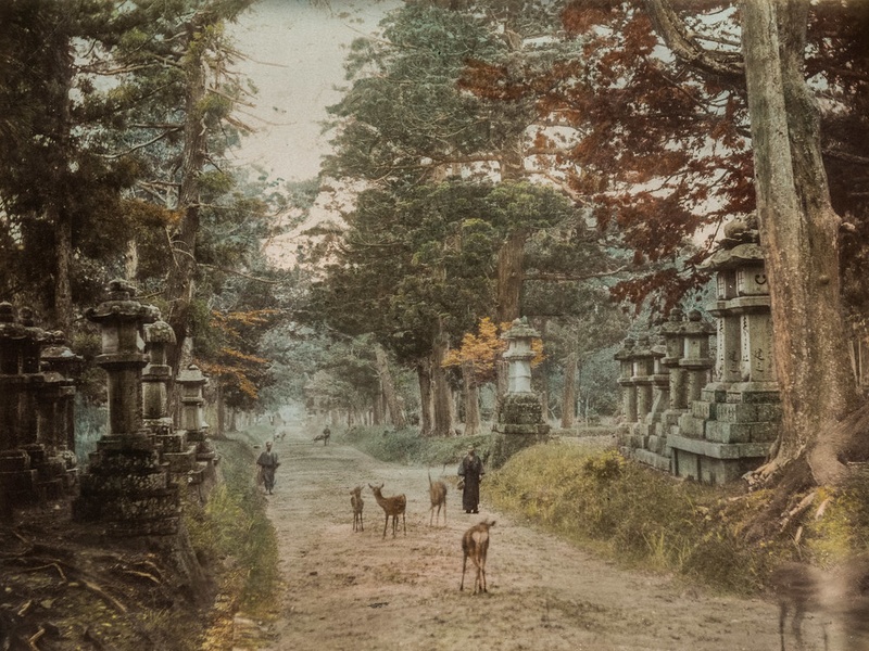 Kasuga-taisha Shrine