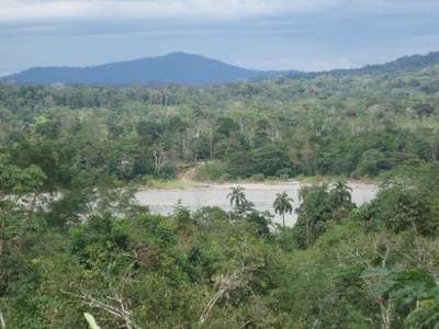 Kichwa Amazon (Napo Kichwa)