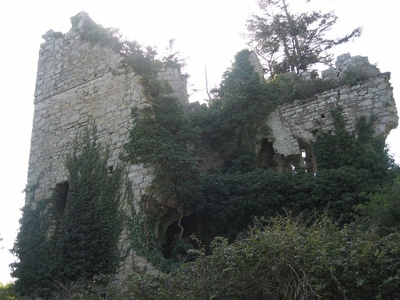 Kilgobbin Castle
