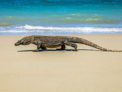 Komodo National Park