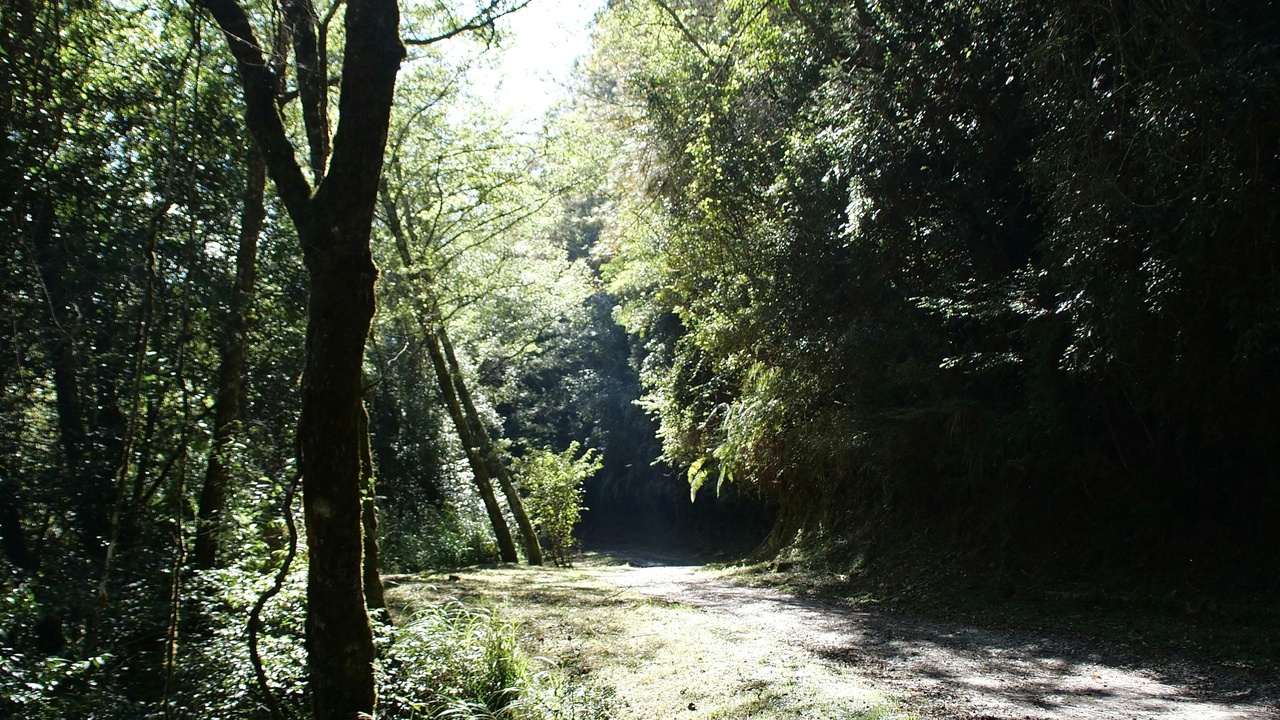 Hiker on the Natchez Trace Parkway at sunset