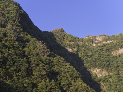 Laurisilva of Madeira