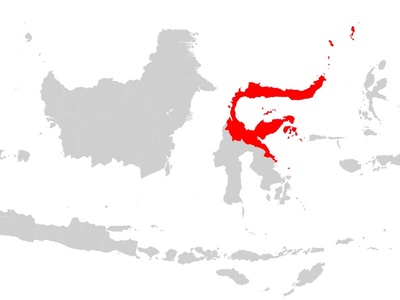 Manado