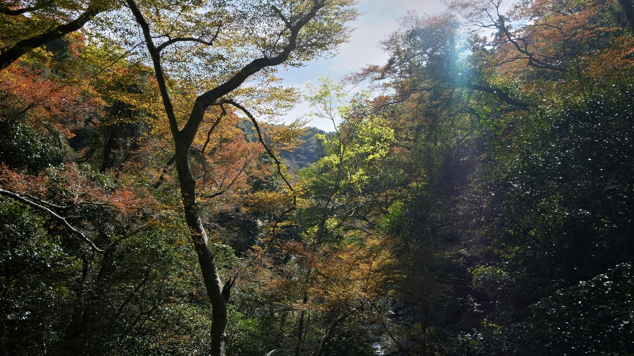 Minoo Park waterfall and Mount Kongo